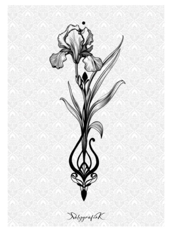 Iris ornemental 0123