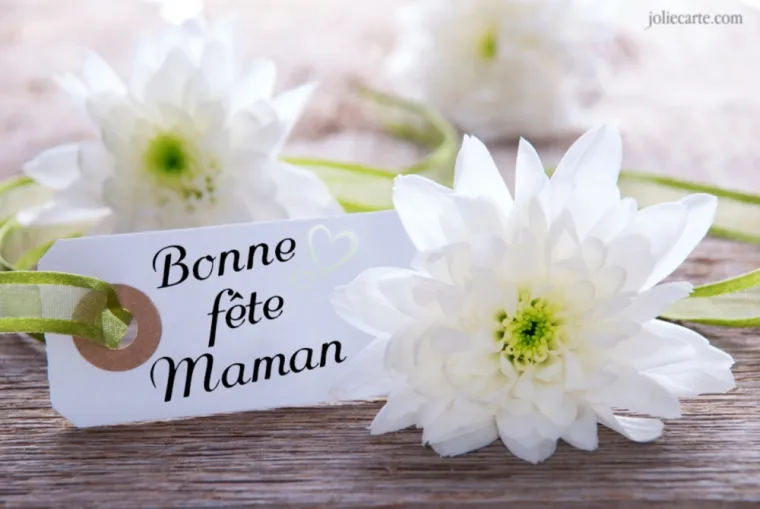 Concours Fête des mères , Givet, Kalygrafink